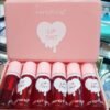 Mastering Effortless Beauty: Heng Fang Lip Tint 6-Piece Set