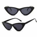 Cat Eye Triangle Frame Fashion Sunglasses for Women and Men