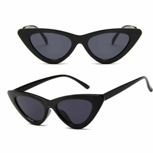 Cat Eye Triangle Frame Fashion Sunglasses for Women and Men
