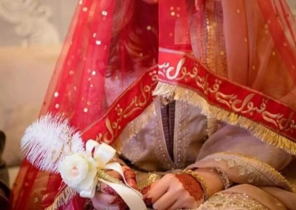 Baat Pakki Net Dupatta