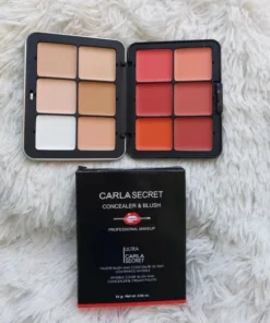Professional 12 Color Ultra HD Blush