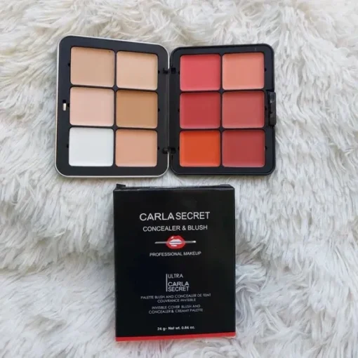 Professional 12 Color Ultra HD Blush